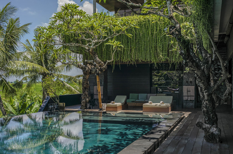 Villa Mana Pool, Canggu | 6 Bedroom Villas Bali